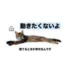 ジジテトの日常使いには少し難ありシリーズ（個別スタンプ：2）