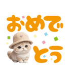 スコティッシュ猫 可愛いく使えるデカ文字（個別スタンプ：9）