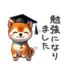 柴犬さんの毎日敬語（個別スタンプ：17）