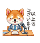 柴犬さんの毎日敬語（個別スタンプ：24）