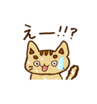 ねこの日常と感情（個別スタンプ：17）