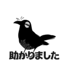 カラスの敬語（個別スタンプ：30）