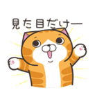 ランラン猫 27 (日本語)（個別スタンプ：5）