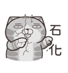 ランラン猫 27 (日本語)（個別スタンプ：12）