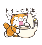 ランラン猫 27 (日本語)（個別スタンプ：18）