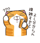 ランラン猫 27 (日本語)（個別スタンプ：23）