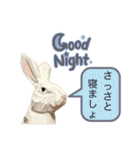無表情な兎と猫（個別スタンプ：2）