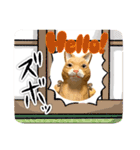 無表情な兎と猫（個別スタンプ：3）