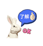 無表情な兎と猫（個別スタンプ：5）