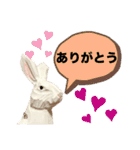 無表情な兎と猫（個別スタンプ：6）