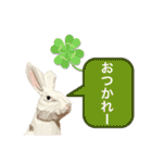 無表情な兎と猫（個別スタンプ：9）