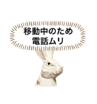 無表情な兎と猫（個別スタンプ：13）