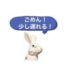 無表情な兎と猫（個別スタンプ：14）