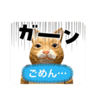 無表情な兎と猫（個別スタンプ：16）