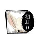無表情な兎と猫（個別スタンプ：19）