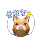 無表情な兎と猫（個別スタンプ：20）