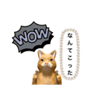 無表情な兎と猫（個別スタンプ：21）