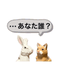 無表情な兎と猫（個別スタンプ：24）
