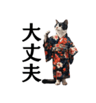 【達筆】和風猫の普段使いスタンプ（個別スタンプ：9）