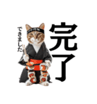 【達筆】和風猫の普段使いスタンプ（個別スタンプ：29）