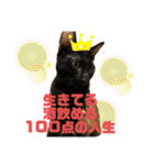 お酒とネコ好きな日常会話 8（個別スタンプ：2）