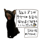 お酒とネコ好きな日常会話 8（個別スタンプ：6）
