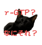 お酒とネコ好きな日常会話 8（個別スタンプ：23）