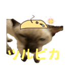 お酒とネコ好きな日常会話 8（個別スタンプ：25）