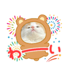 癒し猫シフォンのリラックスタンプ（個別スタンプ：18）