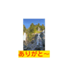 東海地方の大自然♡（個別スタンプ：8）