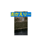 東海地方の大自然♡（個別スタンプ：16）