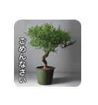 観葉植物で一言（個別スタンプ：2）