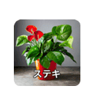 観葉植物で一言（個別スタンプ：5）