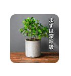 観葉植物で一言（個別スタンプ：12）