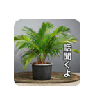 観葉植物で一言（個別スタンプ：14）