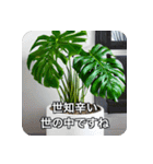 観葉植物で一言（個別スタンプ：15）