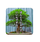 観葉植物で一言（個別スタンプ：20）