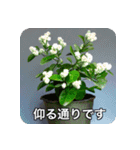 観葉植物で一言（個別スタンプ：25）