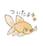 めだかと金魚とドジョウ（個別スタンプ：26）