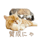 おベルとおリルのスタンプ2（個別スタンプ：2）