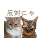 おベルとおリルのスタンプ2（個別スタンプ：3）