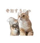 おベルとおリルのスタンプ2（個別スタンプ：4）