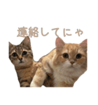 おベルとおリルのスタンプ2（個別スタンプ：6）
