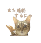 おベルとおリルのスタンプ2（個別スタンプ：7）