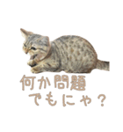 おベルとおリルのスタンプ2（個別スタンプ：12）