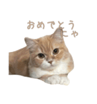おベルとおリルのスタンプ2（個別スタンプ：13）