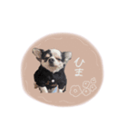 shou.joe stamp（個別スタンプ：7）