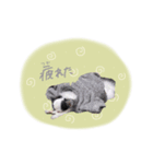 shou.joe stamp（個別スタンプ：8）