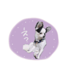 shou.joe stamp（個別スタンプ：11）