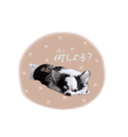 shou.joe stamp（個別スタンプ：15）